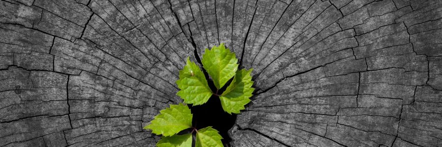 Tlenoterapia a proces odmładzania organizmu